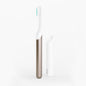 Custom Adult Sonic Toothbrush