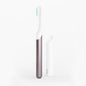 Custom Adult Sonic Toothbrush