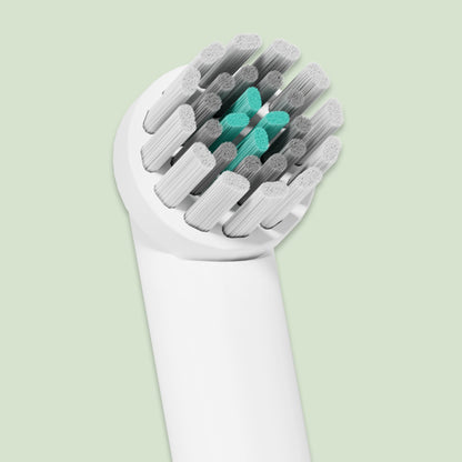 Rev Oscillating Toothbrush - Sample